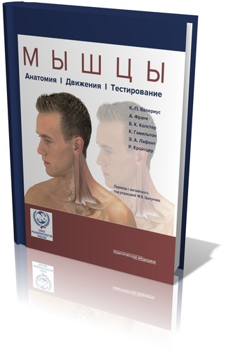 "Мышцы. Анатомия. Движения. Тестирование."