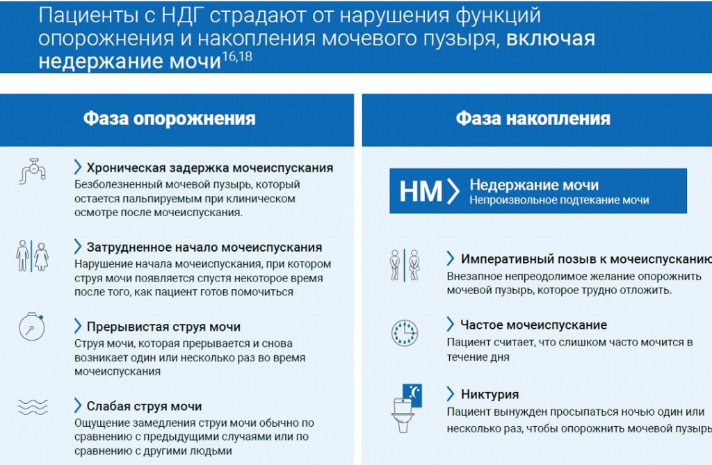 НДГ.jpg